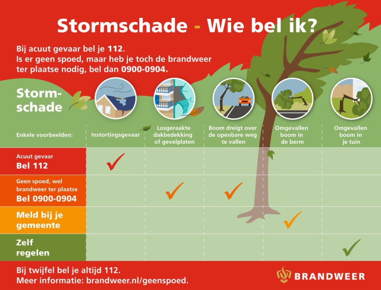 Infographic die beschrijft wie gebeld kan worden bij stormschade. Tekst is al toegelicht op de pagina.