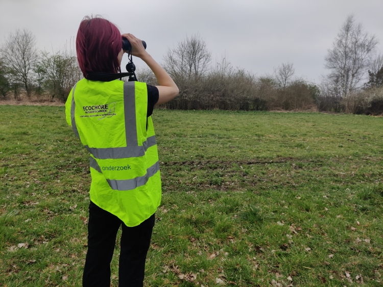 Ecoloog met een geel hesje aan, kijkt met een verrekijker welke dieren er zijn
