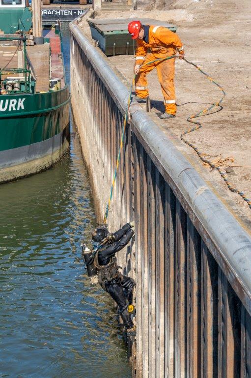 Duiker klimt uit het water